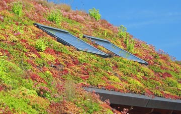 Thornton living roof systems